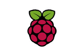 raspberry pi logo کیمیا الکترونیک