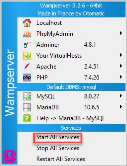 How start all services of Wamp Server